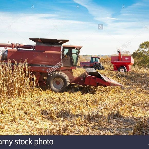 Meet your Posher, Brent - Picture 1 of 1